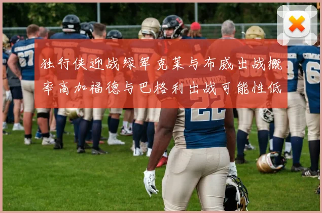 独行侠迎战绿军克莱与布威出战概率高加福德与巴格利出战可能性低