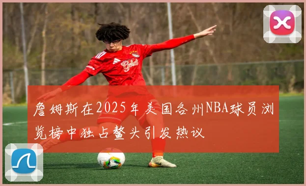 詹姆斯在2025年美国各州NBA球员浏览榜中独占鳌头引发热议