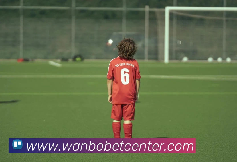 多媒体互动体验